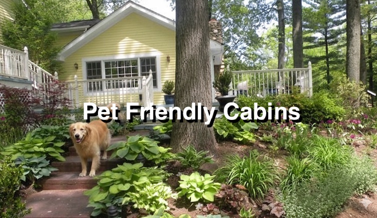 Pet Friendly Michigan Cabins